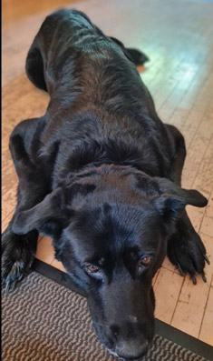 Luna liebt Schüssler-Salze