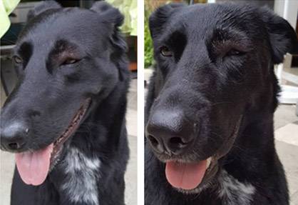 Luna liebt Schüssler-Salze
