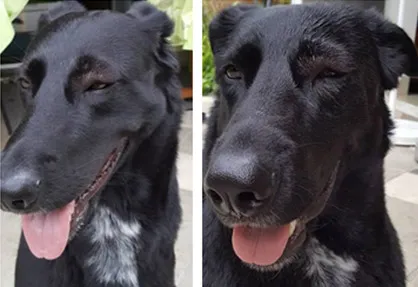 Luna liebt Schüssler-Salze