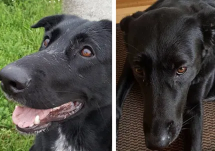 Luna liebt Schüssler-Salze