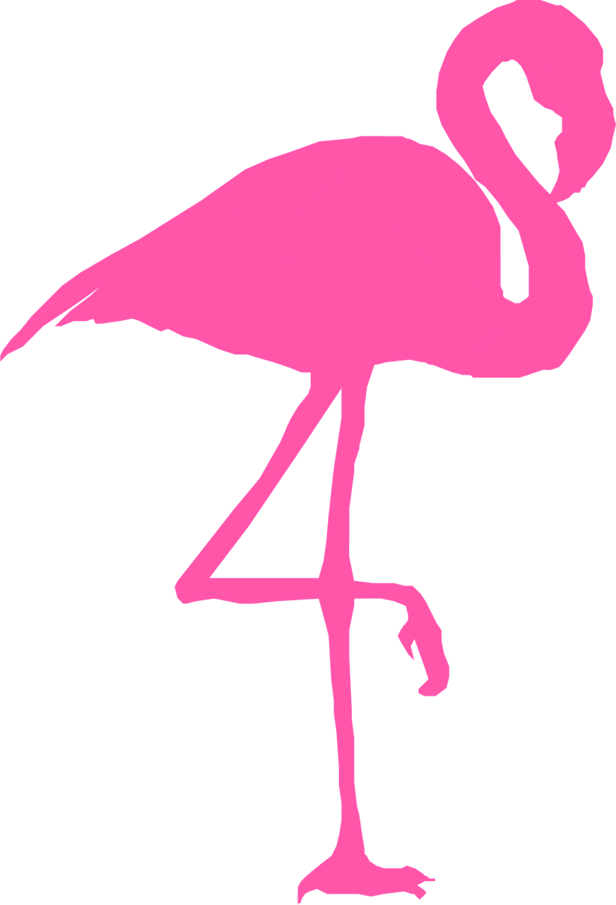 Bild5-flamingo- Flamingo